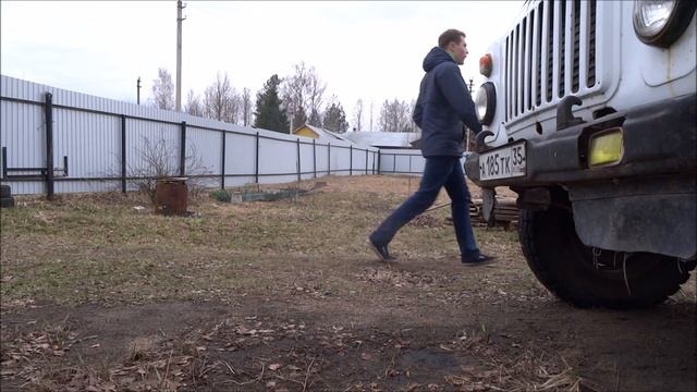 Грибы и исцеление