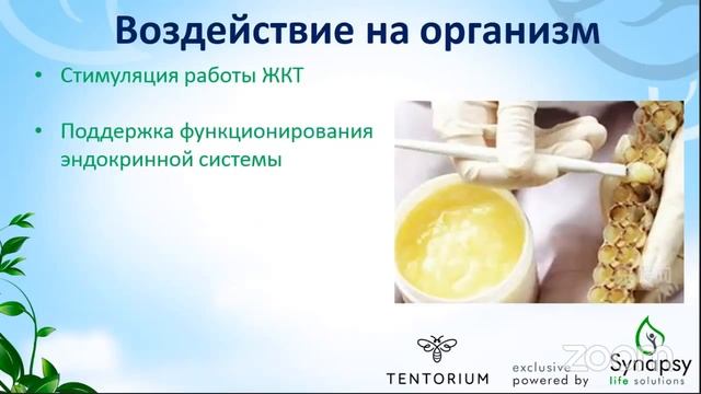 Маточное молочко смотреть онлайн