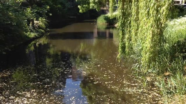 Zoetermeer, South-Holland, The Netherlands ....!!!! смотреть онлайн