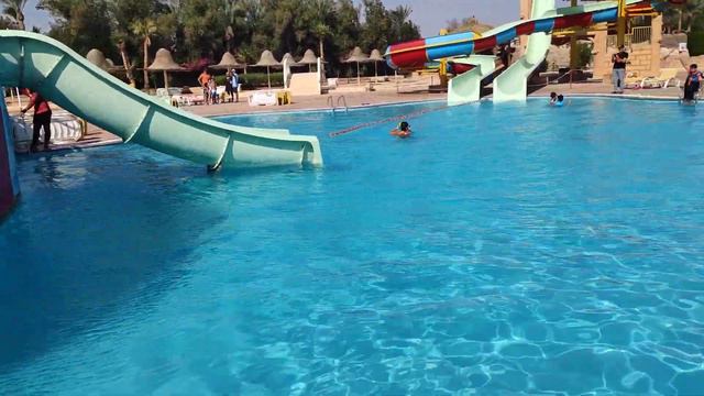 Parrotel aquapark 4* смотреть онлайн