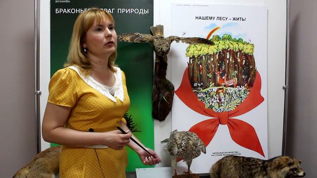 Ястреб перепелятник смотреть онлайн