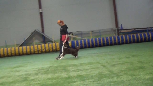 Шинкаревич Любовь Скайли тренировочный