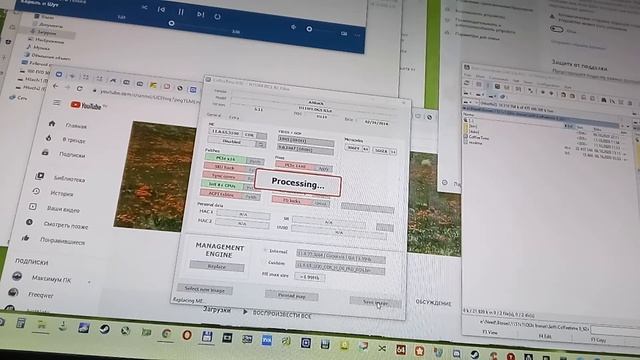 Bios для мутанта QL3X,QL2X в "два клика" смотреть онлайн