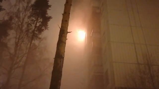 пожар в Сертолово Центральная дом 5 смотреть онлайн