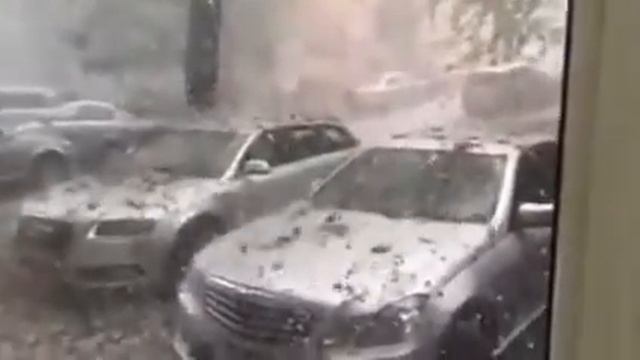 вот почему нельзя парковать перед деревом))) смотреть онлайн