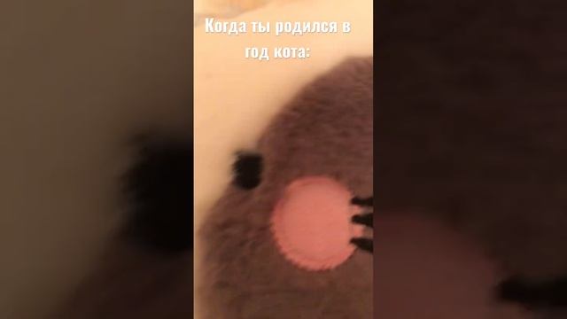 Когда родился в год кота: смотреть онлайн