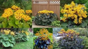 Дизайн своими руками | Как оформить теневые зоны