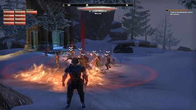 Elder Scroll Online:My Guild