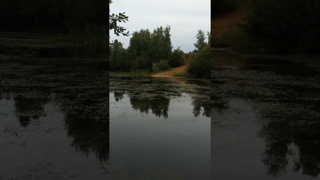 Over water handling chesapeake bay Retriever adey may's Close to you смотреть онлайн