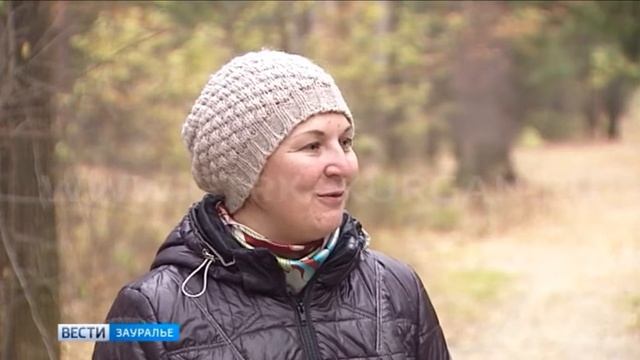 В Просветском дендрарии растет двухсотлетняя сосна смотреть онлайн