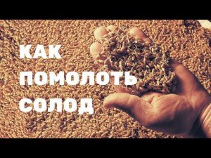 Как молоть солод в домашних условиях