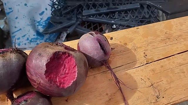 Почему рано убираю свеклу. смотреть онлайн