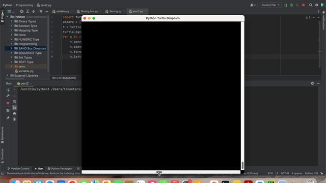 Python Turtle Graphics window shows nothing || Python Turtle Graphics wind Not Working || смотреть онлайн
