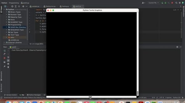 Python Turtle Graphics window shows nothing || Python Turtle Graphics wind Not Working ||