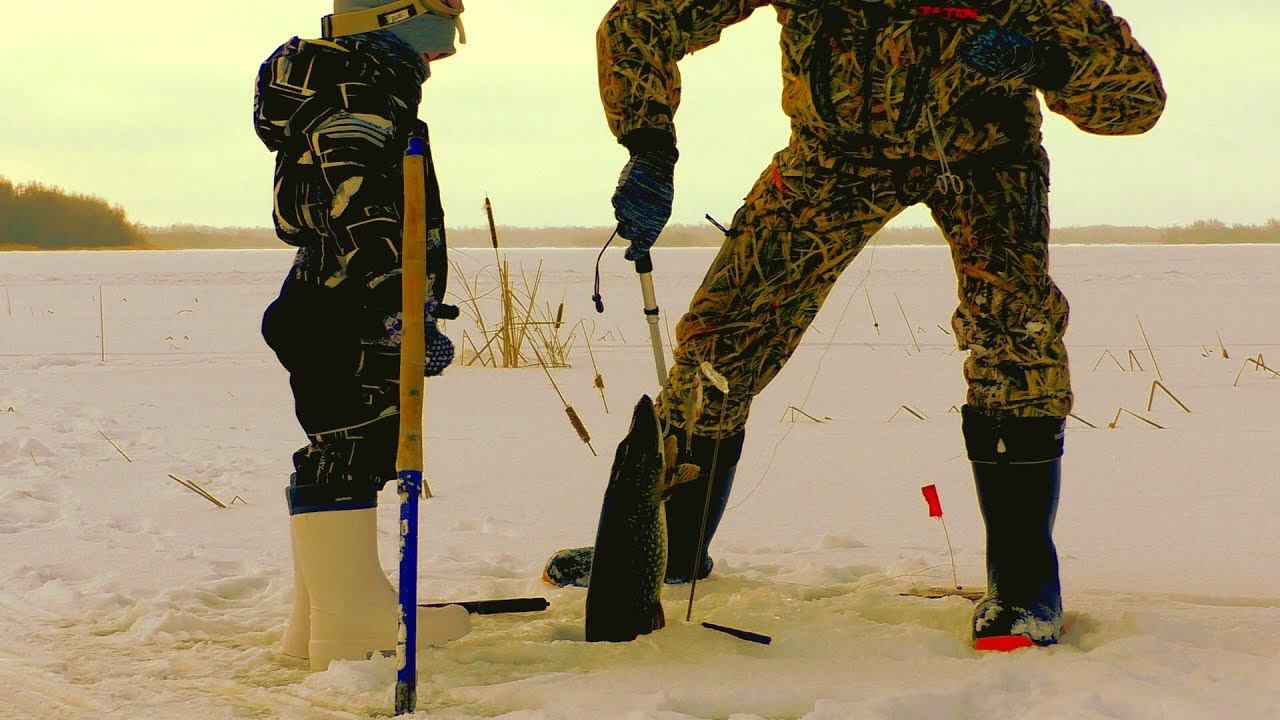 ВОТ ЭТО Я ПОНИМАЮ РЫБАЛКА НА ЖЕРЛИЦЫ!!! ОТКУДА ЗДЕСЬ СТОЛЬКО ЩУКИ??? ЗИМНЯЯ РЫБАЛКА НА ЖЕРЛИЦЫ!!! смотреть онлайн