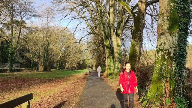 Kilkenny City Ireland | Vacation | 4K | Things to do & Places to Visit смотреть онлайн