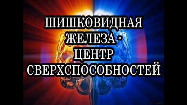 Верны ли законы Физики? Третий закон Ньютона. | Виктор Максименков смотреть онлайн