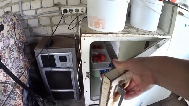 Как сохранить клубнику в свежем виде несколько дней. смотреть онлайн