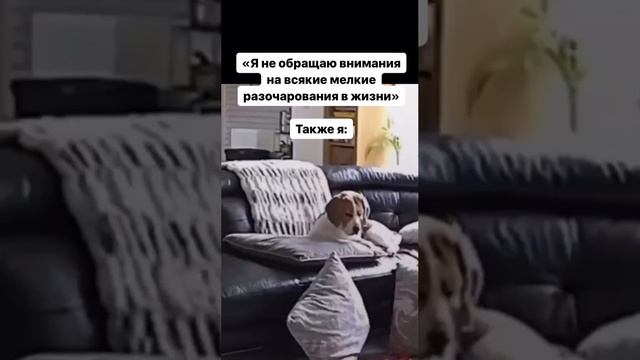 Я когда что-то не получилось сделать с первого раза смотреть онлайн