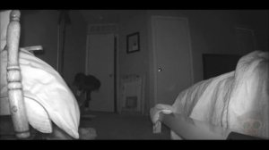 ТОП СТРАШНЫХ УЖАСОВ В РЕАЛЬНОМ МИРЕ ИЛИ ЧТО У ТЕБЯ ПОД КРОВАТЬЮ?!