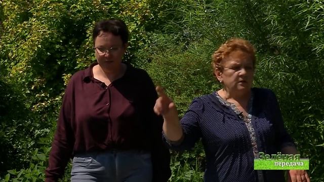 2019 07 02 Зелёная передача смотреть онлайн