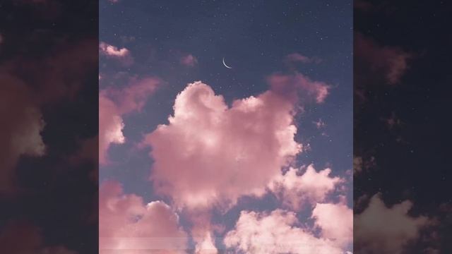 Видеокаталог высокорослых томатов сезона 2023. Часть 2#семенатоматов#коллекционныесемена#алтай