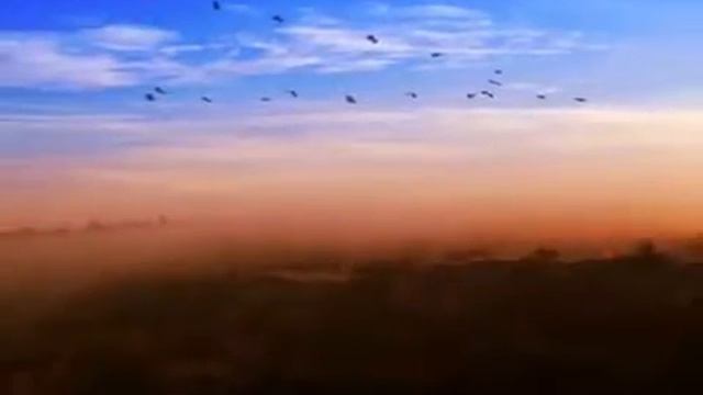 Сергей Сизов (Омск). Улетали журавушки (на стихи Светланы Титовой) смотреть онлайн