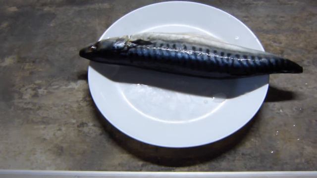 Вкуснейшая мало солёная скумбрия за 15 минут. Старый болгарский рецепт. смотреть онлайн