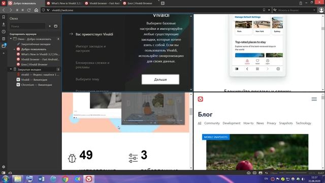 Обзор Vivaldi. Миллион настроек?