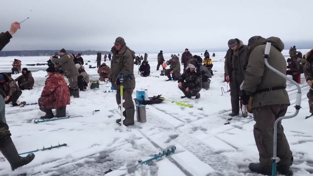 Рыбинка. Борок. Раздача у "Зелёного острова" смотреть онлайн