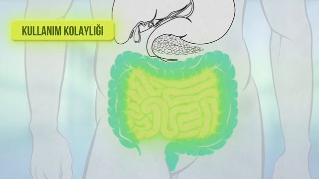 Probiyotik смотреть онлайн
