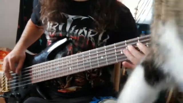 The black dahlia murder - flies (bass cover) cover by shahrum tehrani смотреть онлайн