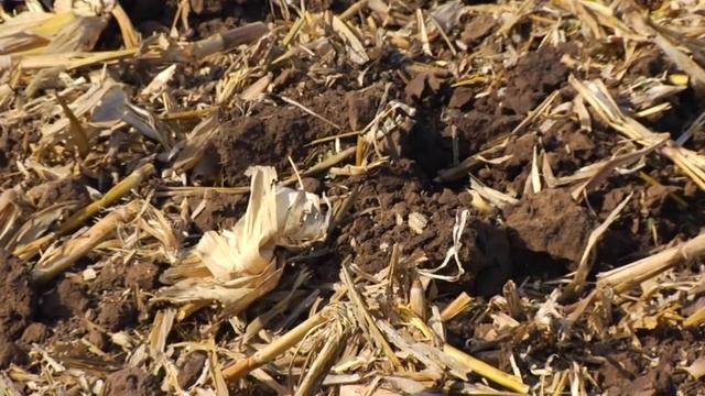 Принципы вертикальной почвообработки /Vertical Tillage Principles