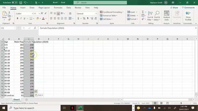 How to Make a Population Pyramid using Microsoft Excel смотреть онлайн