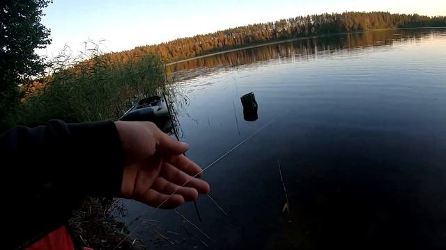 НОЧНАЯ РЫБАЛКА НА РЕЗИНКУ донку! Рыбалка на леща как в детстве. Рыбалка в конце июля 2022 смотреть онлайн