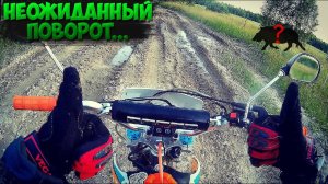 ВЕЧЕРНЯЯ ПОКАТУШКА на ПИТБАЙКЕ |ДЕВУШКА|