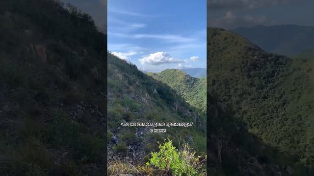 Я ценю отношения, но веду себя так, чтобы меня бросили.