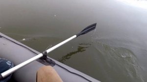 Рыбалка на реке Белая