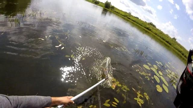 Рыба на Крючке