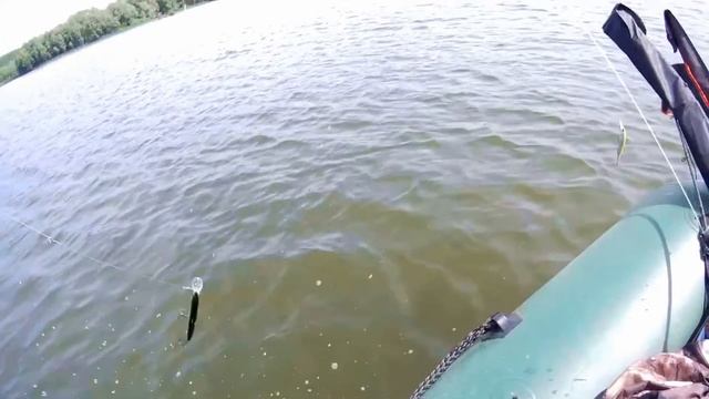 Бюджетный TsuYoki DRAGA 130SP сделал рыбалку! смотреть онлайн