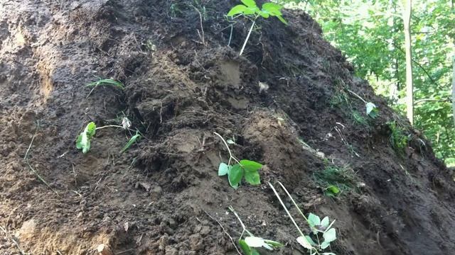 _Другие_ Гора. смотреть онлайн