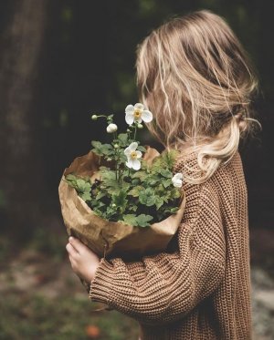 Доброго Дня Отличного Настроения! Открытки Добрый День!