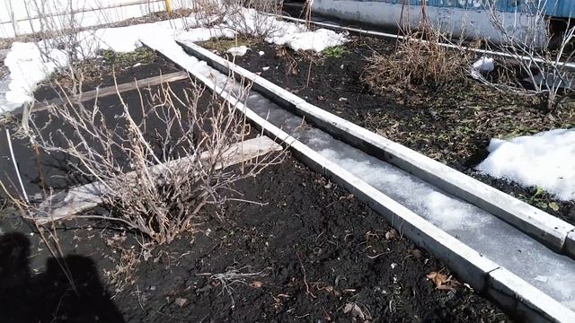 Дача и растения после зимы. смотреть онлайн