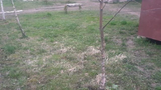 #оканавливание #дренаж смотреть онлайн