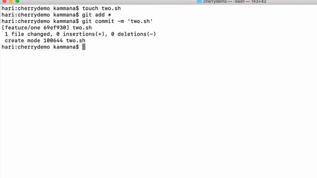 What is Cherry Pick in git | Git CherryPick demo | Cherry Picking a Commit | Java Home смотреть онлайн