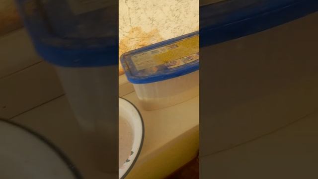 порошок стиральный ARI просто????не берите его!!!! #стиральнаямашина #стиральныйпорошок смотреть онлайн