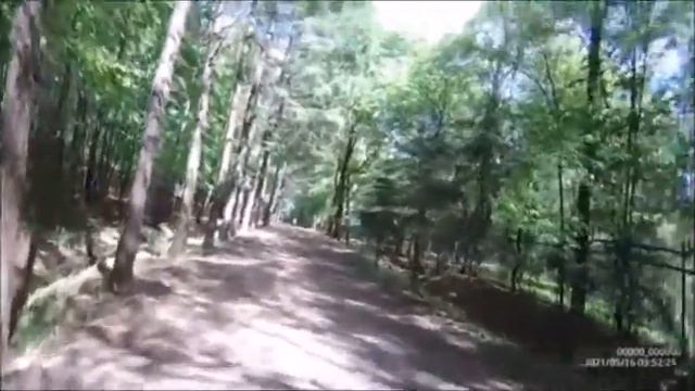 ТСХА: лесная опытная дача