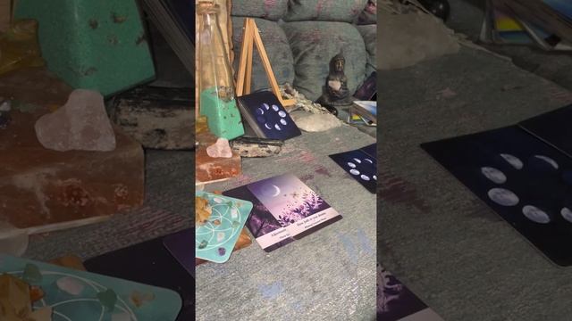 Full Moon Release | 5 card | Intuitive Reveal | Let Love Lead | Moon Oracle смотреть онлайн