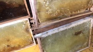 Севший МЁД в рамках... ЧТО с НИМ ДЕЛАТЬ...