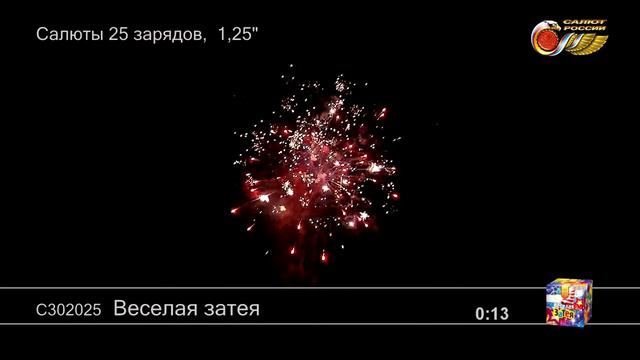 Салют средний, 25 залпов 2990р. смотреть онлайн